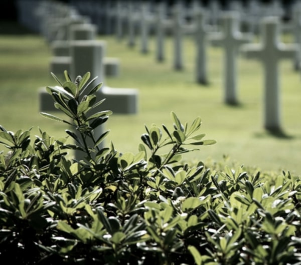 sepoltura in terra senza funerale